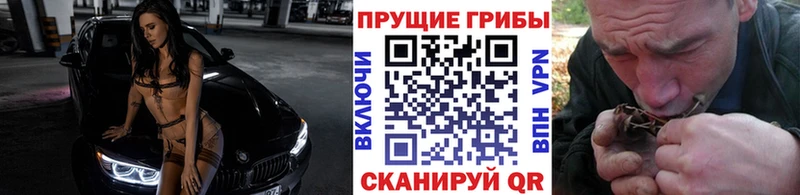 Псилоцибиновые грибы Cubensis  Кузнецк 