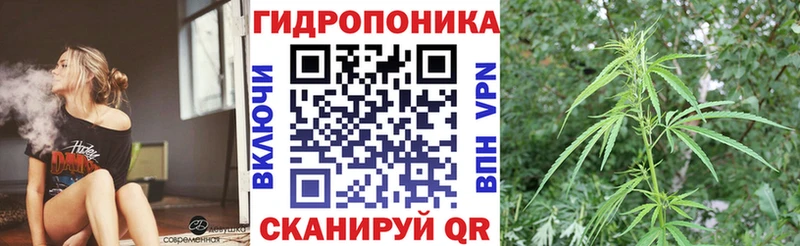 omg зеркало Кузнецк Бошки марихуана гибрид